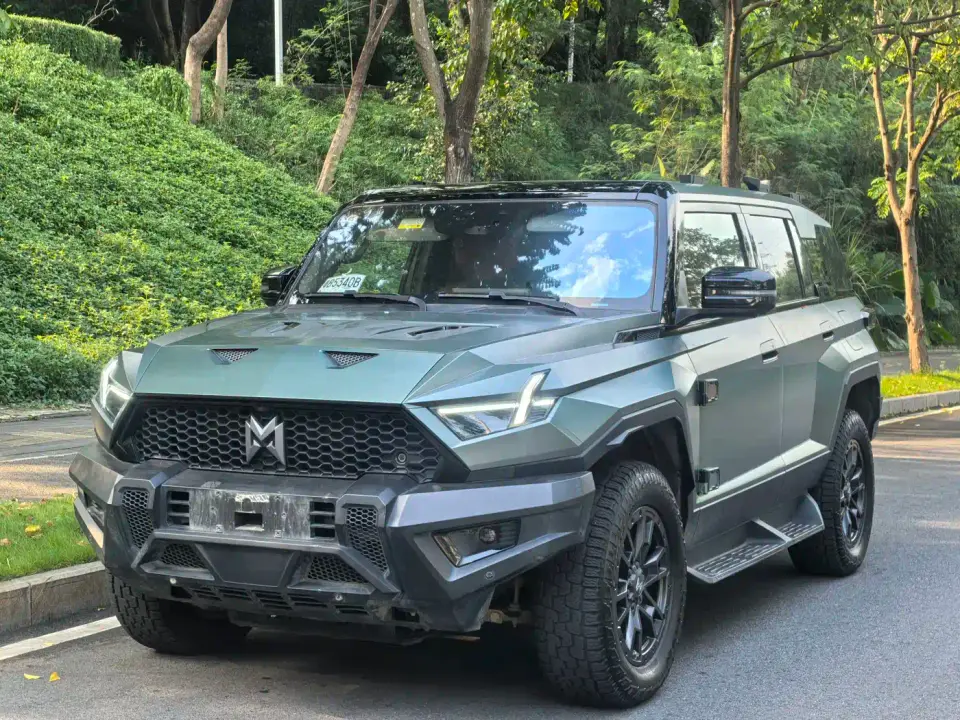Mengshi 917 Extended Range Base Version 2024