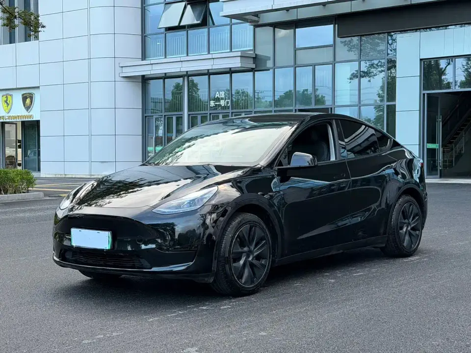 Tesla Model Y Rear-Wheel Drive Version 2024