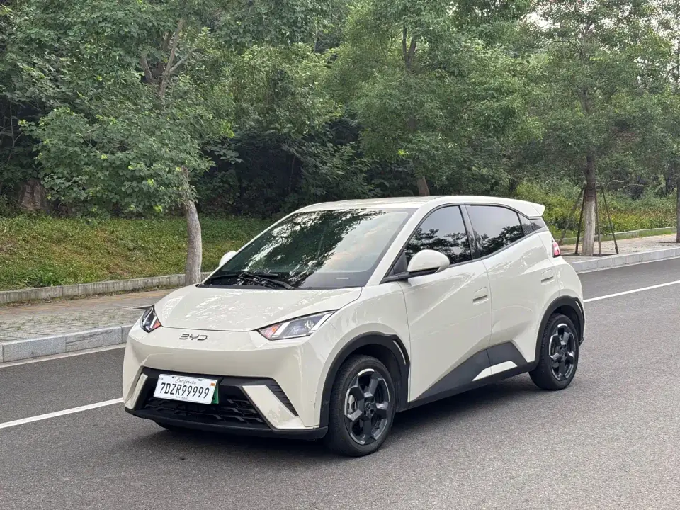 BYD Seagull Glory Edition 305km Freedom Edition 2024