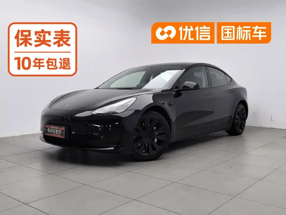Tesla Model 3 Standard Range Rear-Wheel Drive Upgrade 3D6 2021