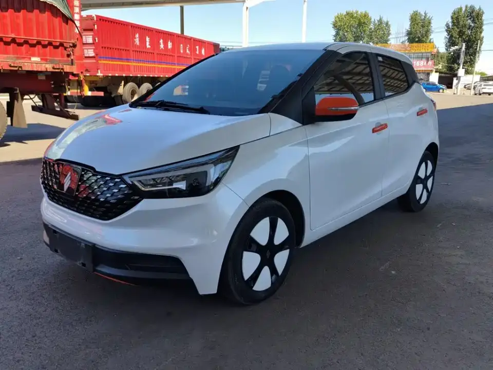 JMCG New Energy Yizhi EV3 Youth Edition 330KM Comfort 2024