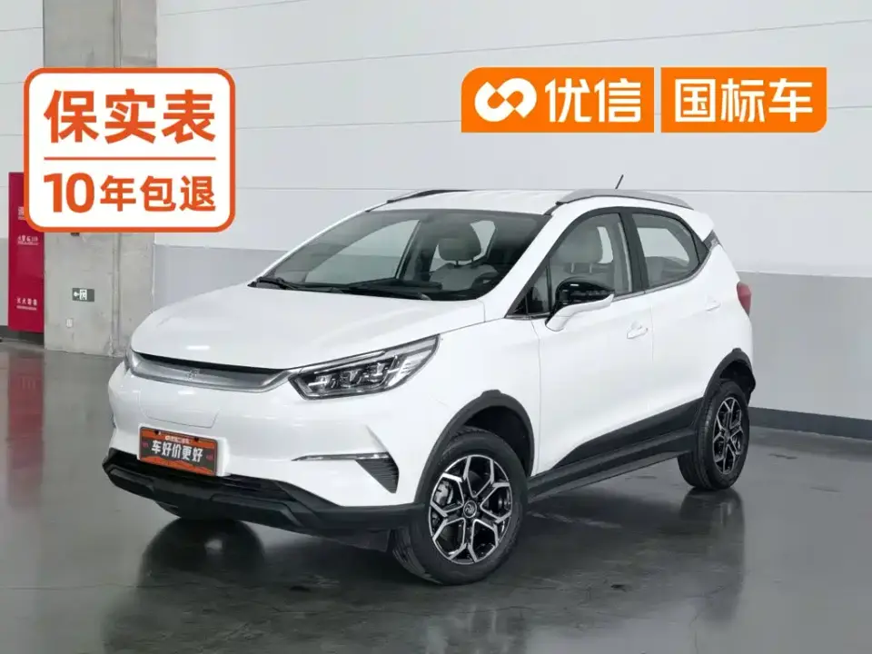 BYD Yuan Pro 401KM Luxury 2024