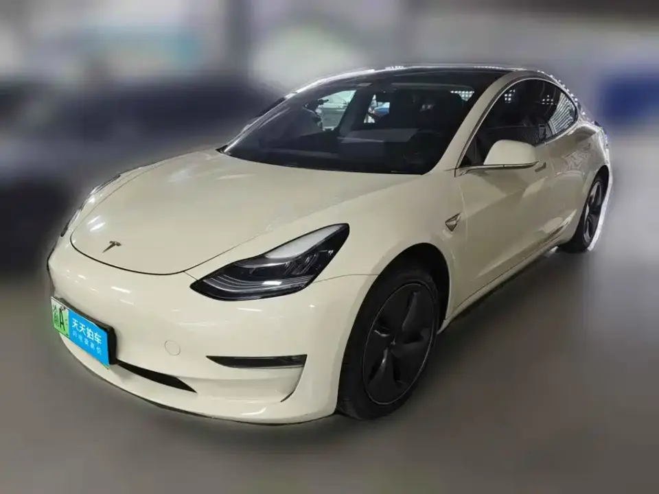 Tesla Model 3 Standard Range Rear-Wheel Drive Upgrade 2020