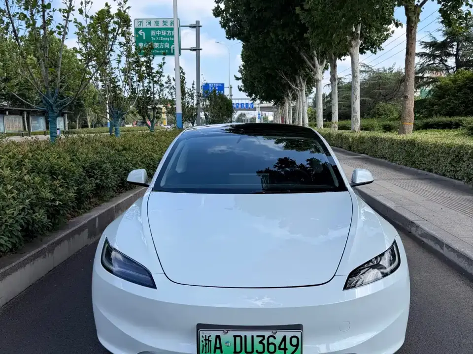 Tesla Model 3 Model Rear-Wheel Drive Edition 2025