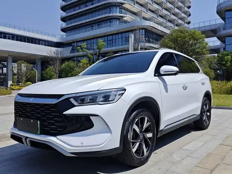 BYD Song Pro New Energy Glory Edition DM-i 71KM Pilot 2024