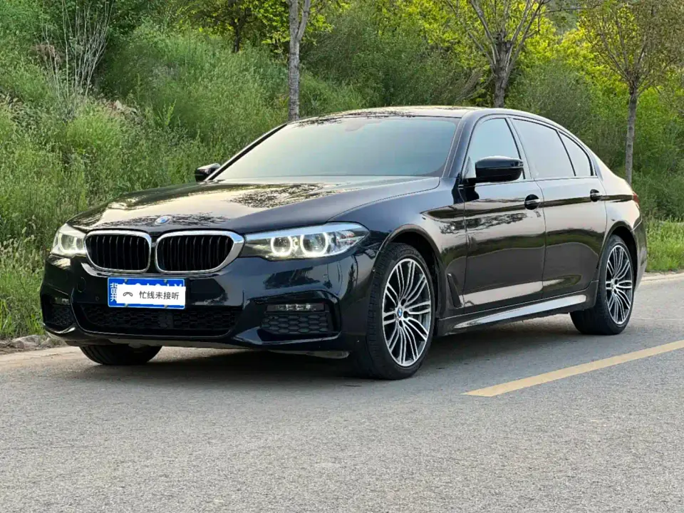 BMW 5 Series 530Li Leading M Sport Package 2019