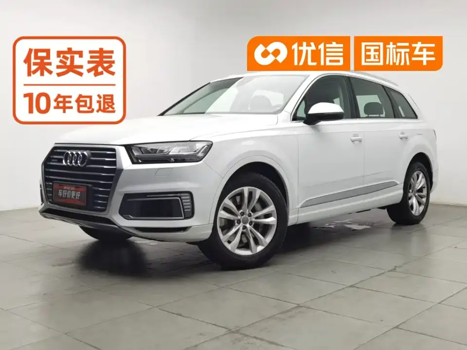 Audi Q7 New Energy 55 e-tron 2019