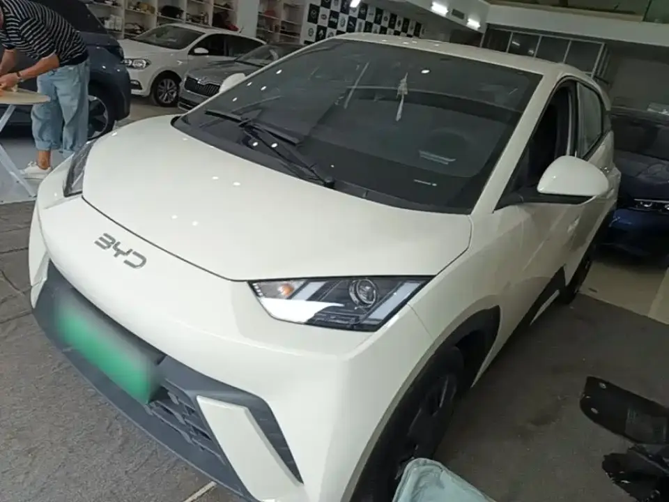 BYD Seagull Glory Edition 305km Vitality Edition 2024