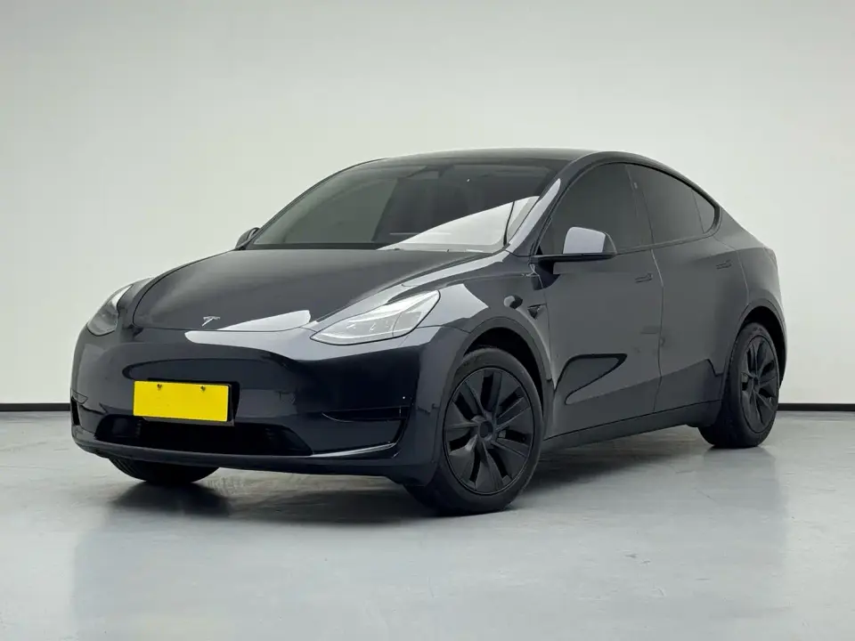 Tesla Model Y Rear-Wheel Drive Version 2024