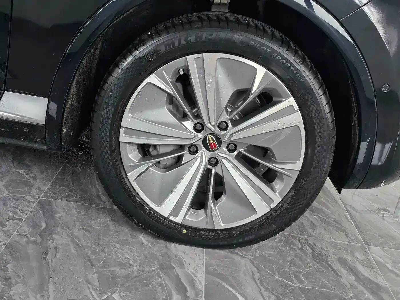 Hongqi E-HS9 690km Qi Xiang Edition (6-seater) 2023 — фото 4