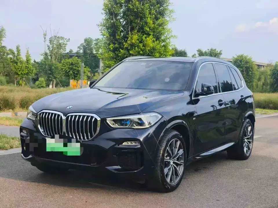 BMW X5 New Energy(Imported) xDrive45e M Sport Package 2021