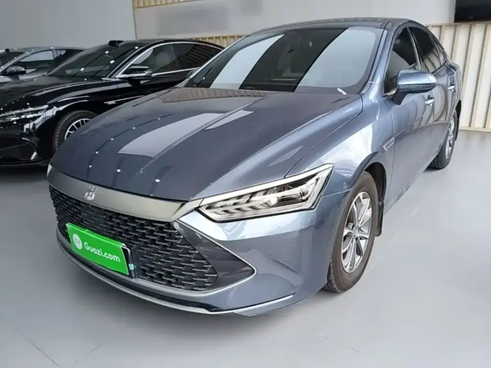BYD Qin PLUS Glory Edition DM-i 55KM Leading 2024