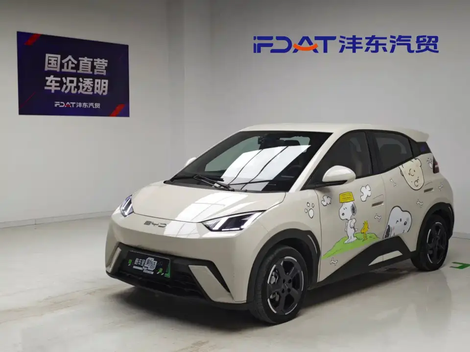 BYD Seagull Flying Edition 2024