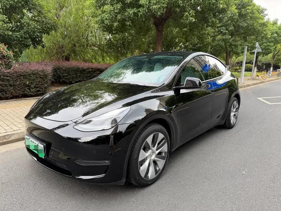 Tesla Model Y Standard Range Rear-Wheel Drive 2021