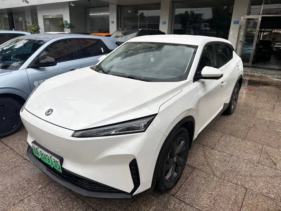 Dongfeng Aeolus SKY EV01 445km PRO 2024