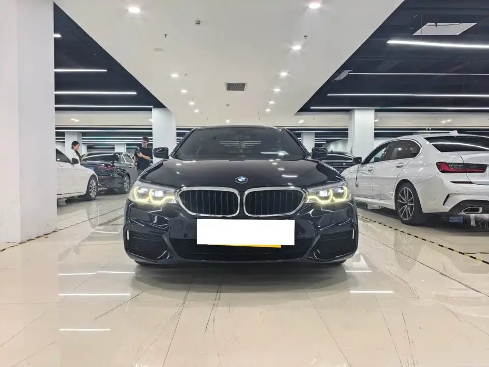 BMW 5 Series 530Li Leading M Sport Package 2020