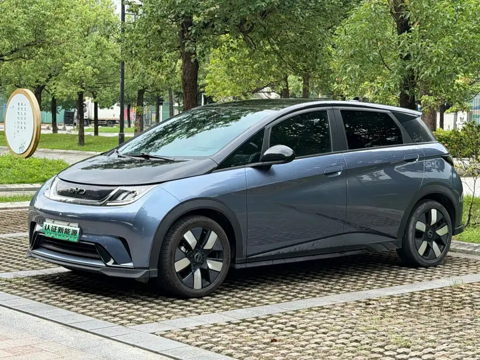 BYD Dolphin Glory Edition 401km Knight Edition 2024
