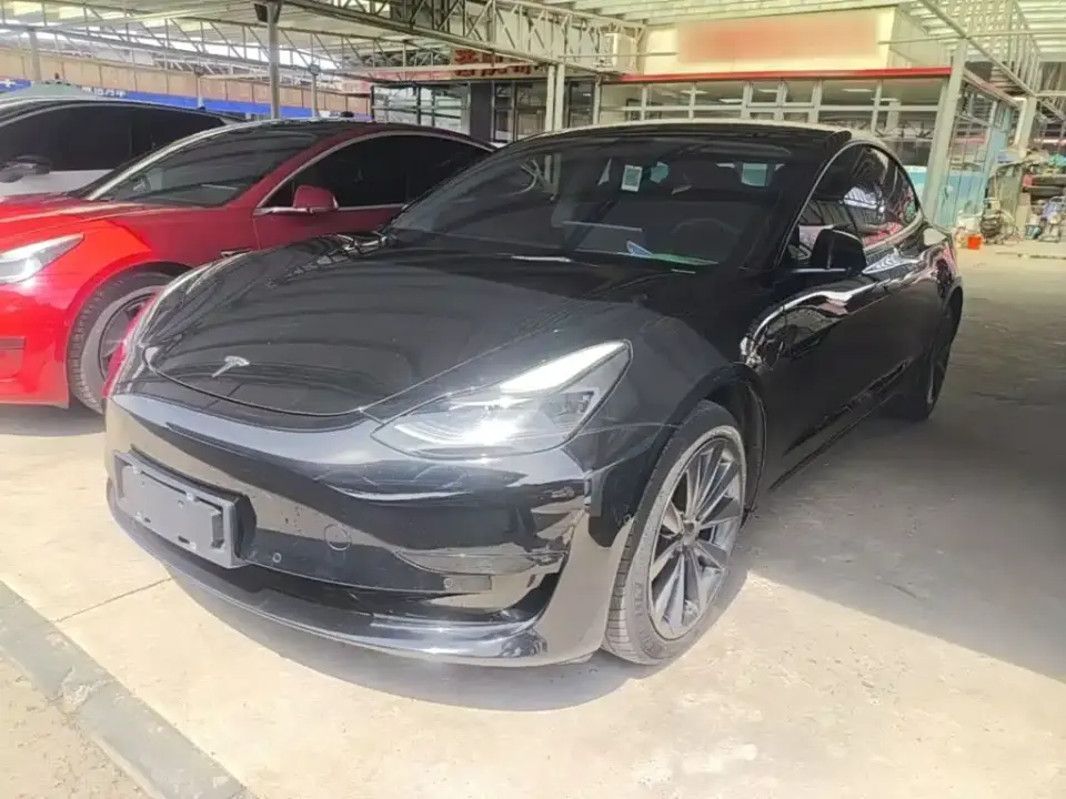Tesla Model 3 Standard Range Rear-Wheel Drive Upgrade 3D6 2021
