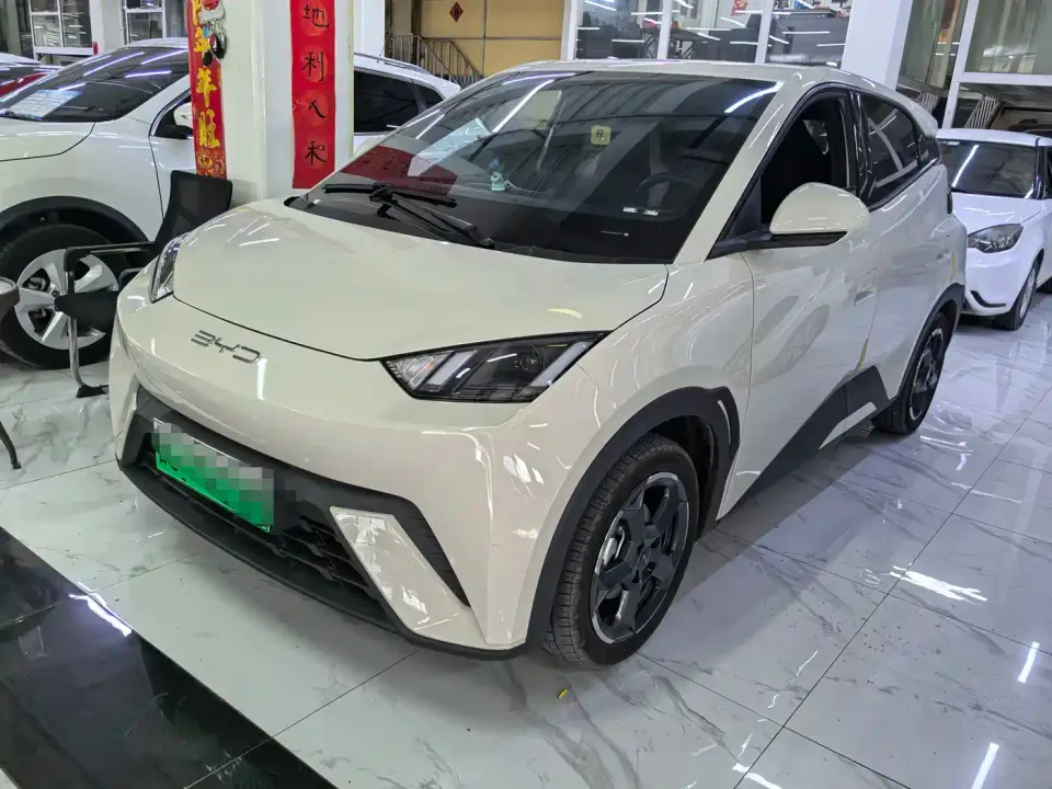 BYD Seagull Glory Edition 305km Freedom Edition 2024