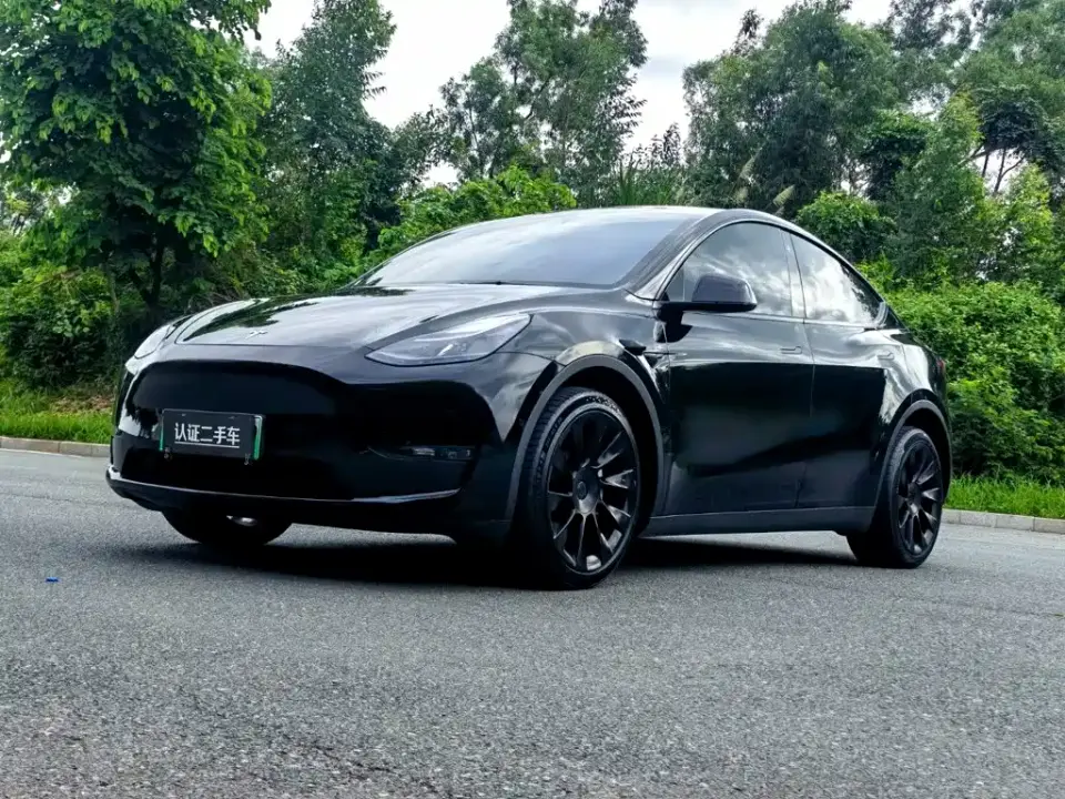 Tesla Model Y Model Long Range AWD 2021