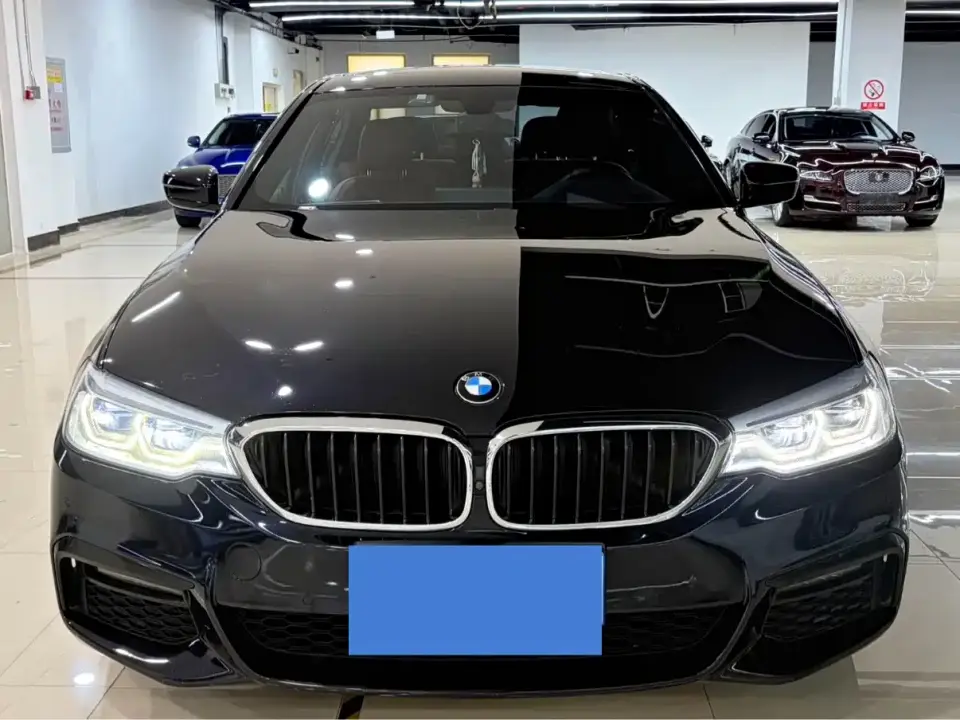 BMW 5 Series 530Li Leading M Sport Package 2019