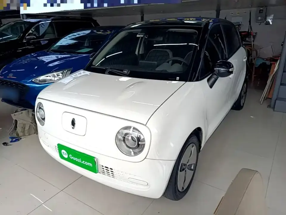 ORA Black Cat 301km Pet Edition 2021
