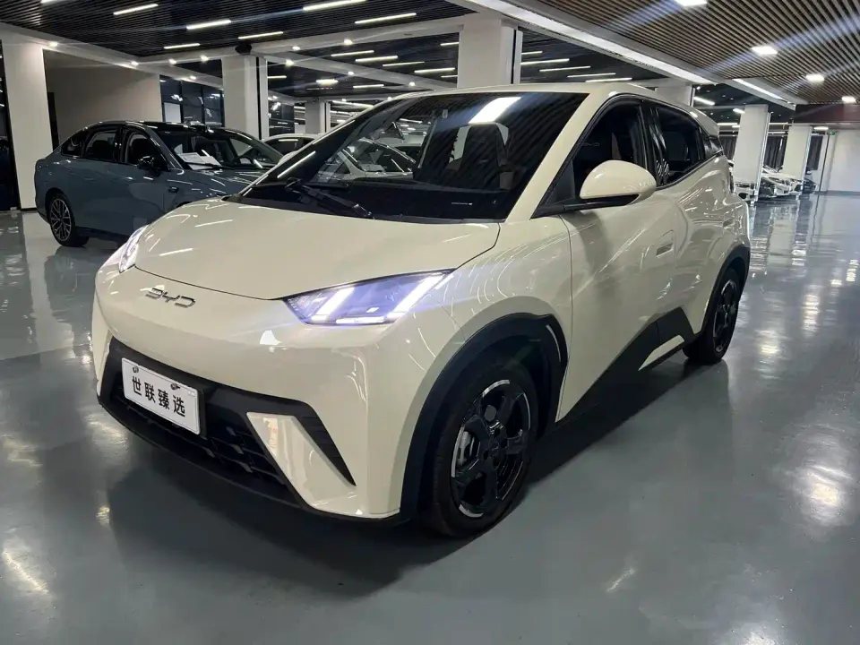 BYD Seagull Flying Edition 2023