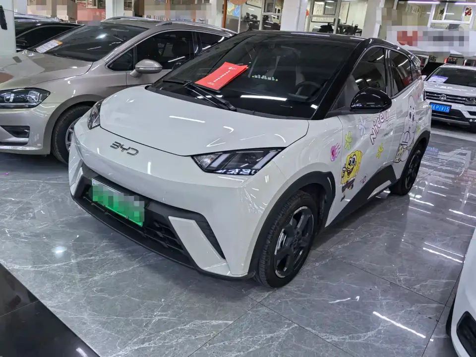 BYD Seagull Glory Edition 305km Freedom Edition 2024