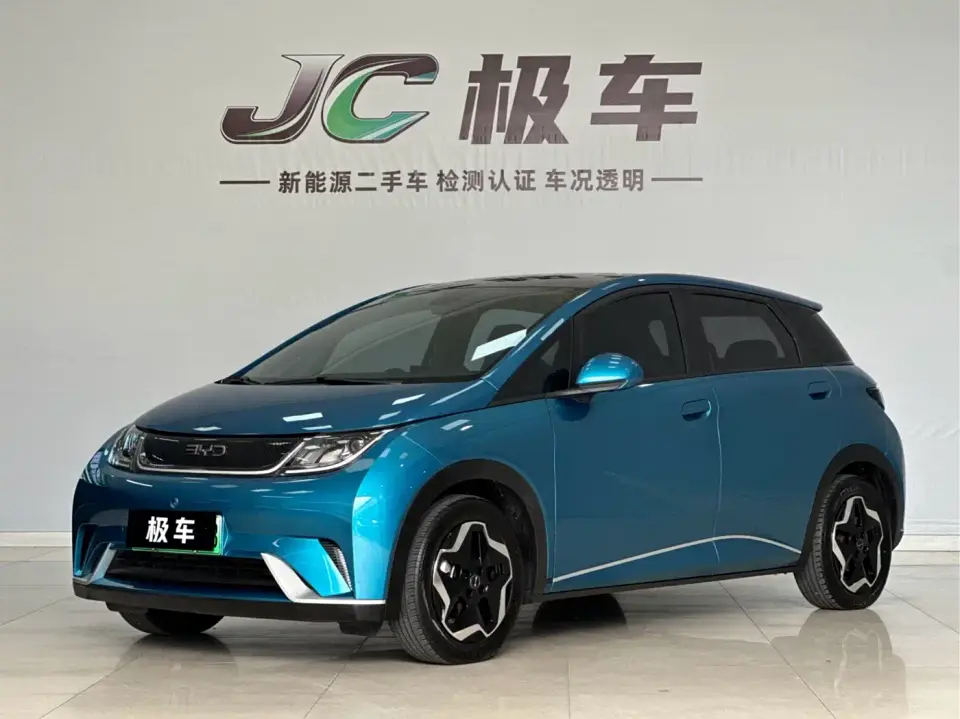 BYD Dolphin Model 405km Fashion Edition 2022