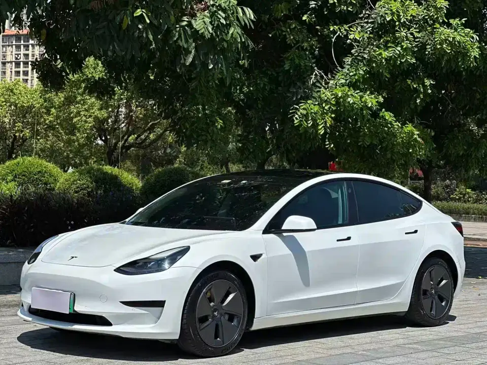 Tesla Model 3 Standard Range Rear-Wheel Drive Upgrade 2021