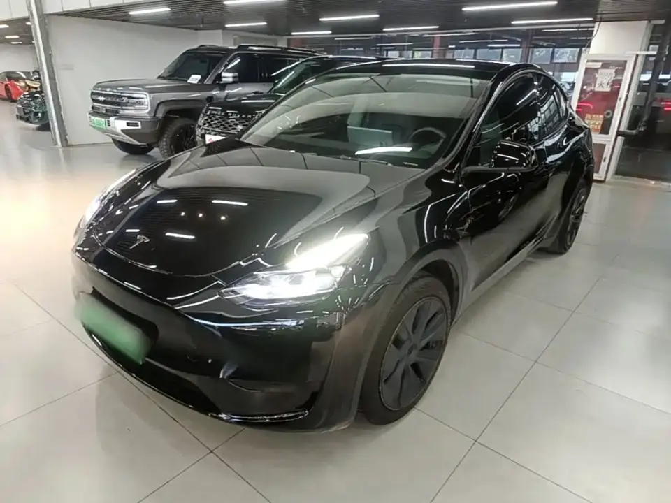 Tesla Model Y Rear-Wheel Drive Version 2024