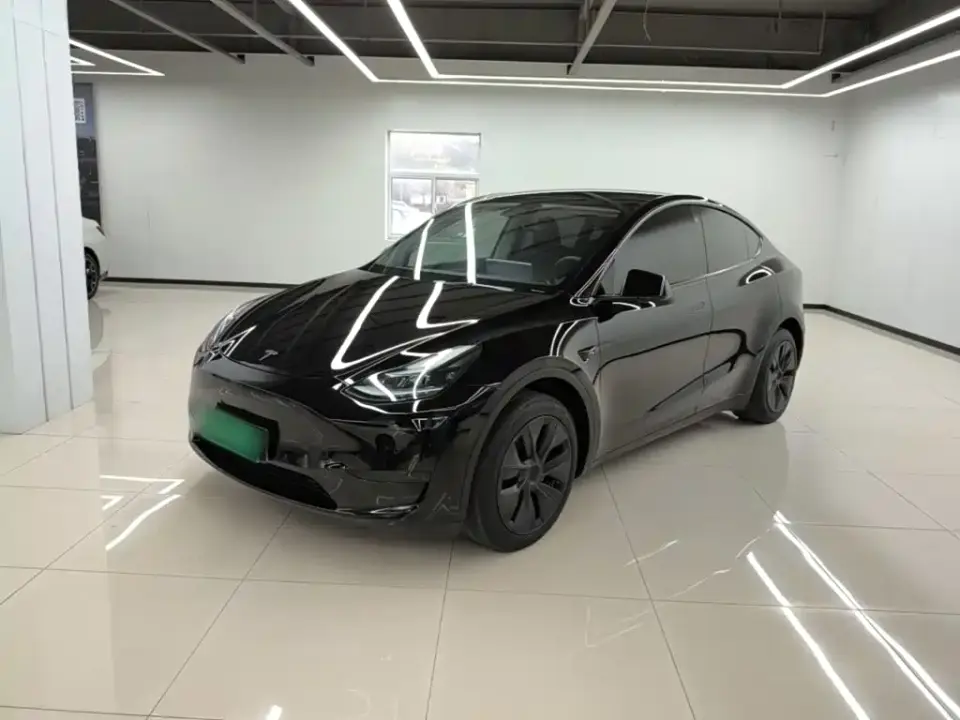 Tesla Model Y Rear-Wheel Drive Edition 2024