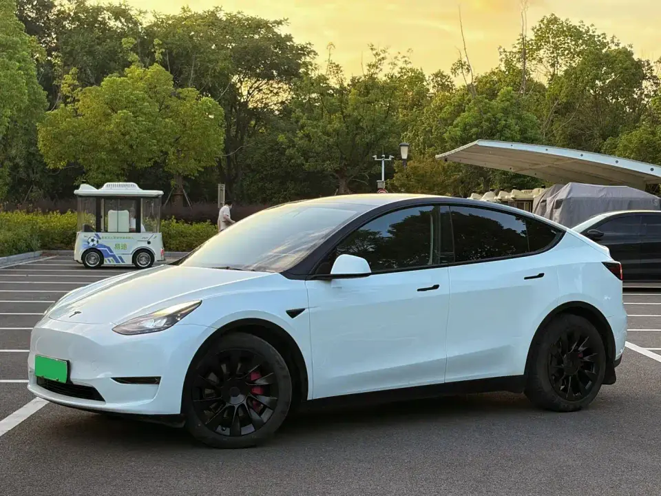 Tesla Model Y Long Range All-Wheel Drive 3D7 2021