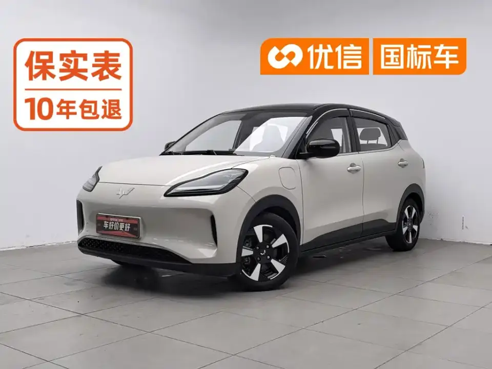 Wuling Motors Wuling Binguo PLUS 510km Range 5-seater 2025