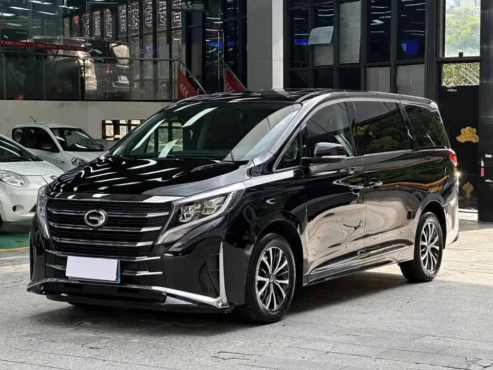 GAC Trumpchi M8 Leading Series 390T Premium Edition 2024