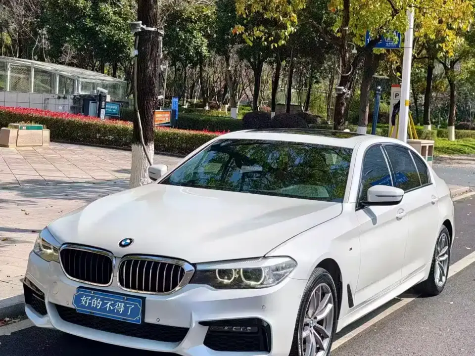 BMW 5 Series 525Li M Sport Package 2019