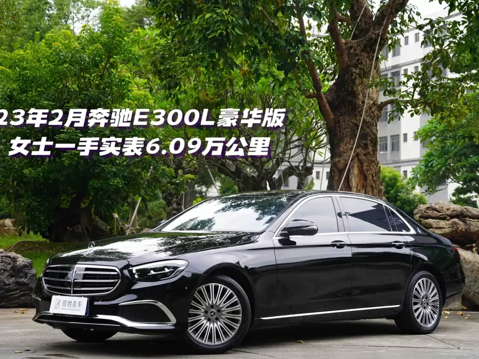 Mercedes-Benz E-Class E 300 L Luxury 2023