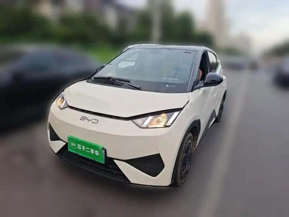 BYD Seagull Smart Drive Edition 305km Vitality Version 2026