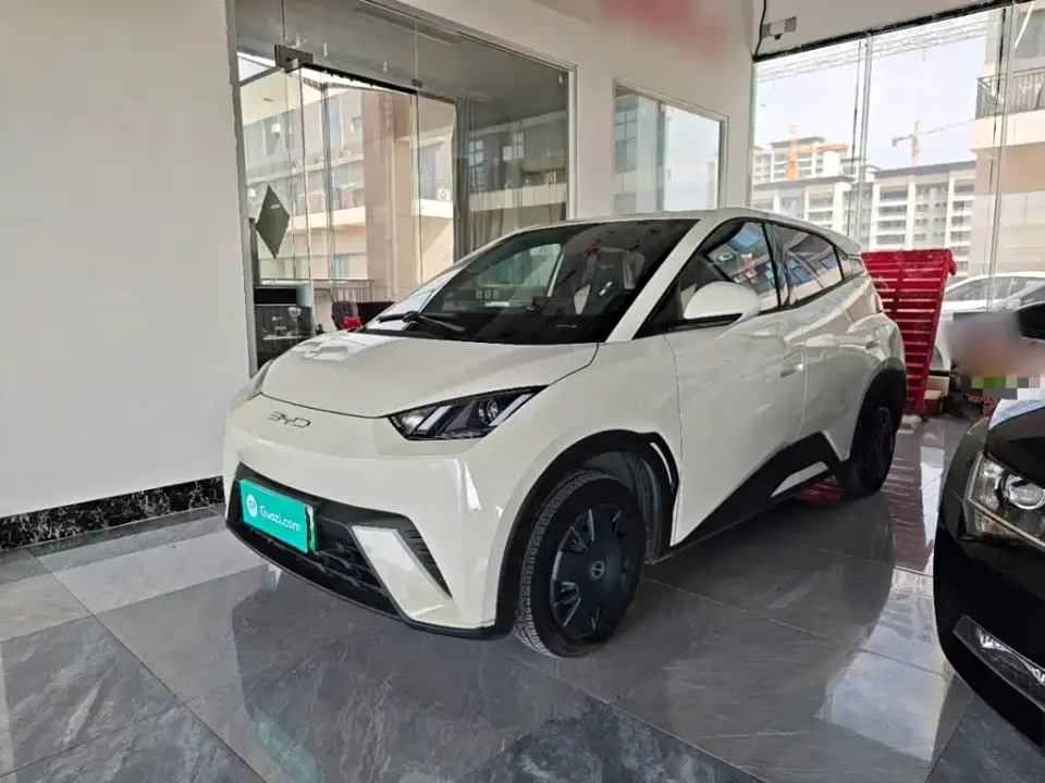 BYD Seagull Vitality Edition 2024