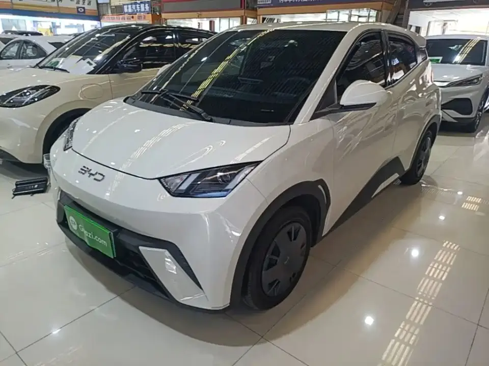 BYD Seagull 305km Vitality 2025