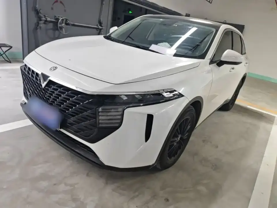 Venucia Big V 260T Idol Edition 2021