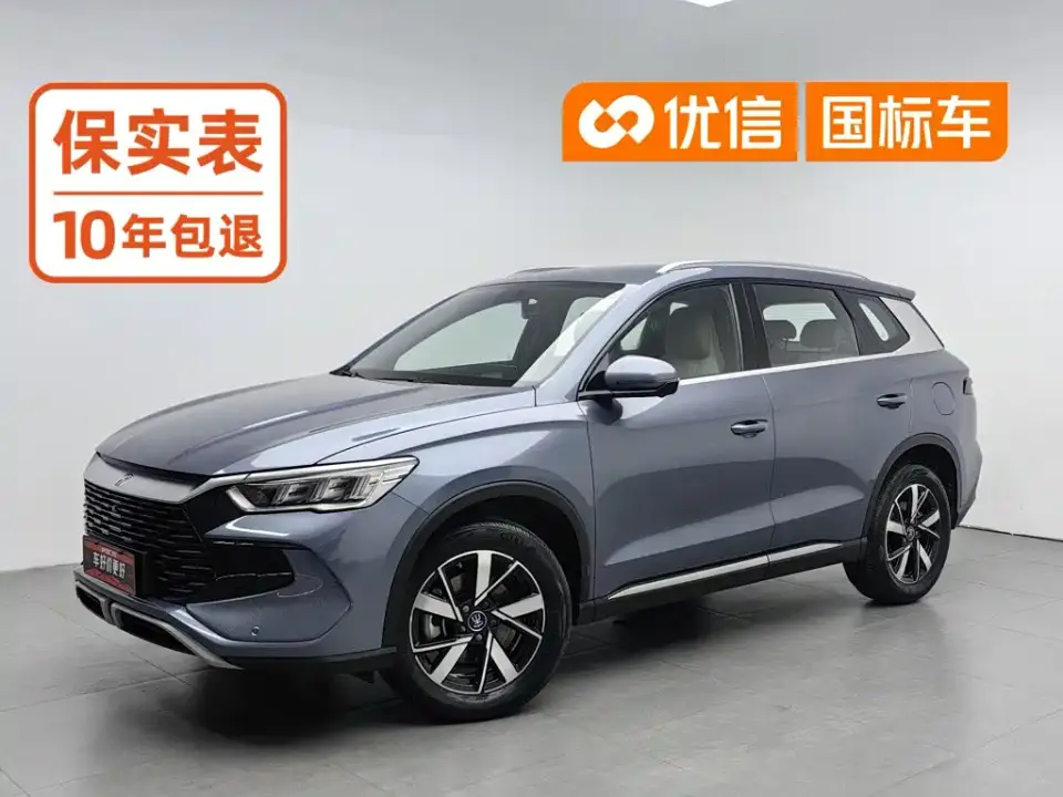 BYD Song Pro New Energy Glory Edition DM-i 71KM Pilot 2024