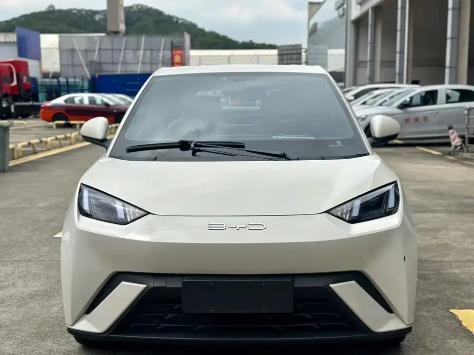 BYD Seagull Vitality Edition 2024