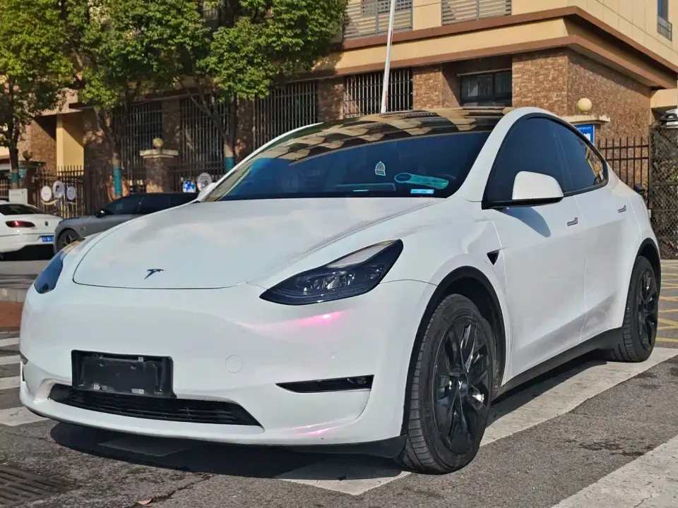 Tesla Model Y Standard Range Rear-Wheel Drive 2021
