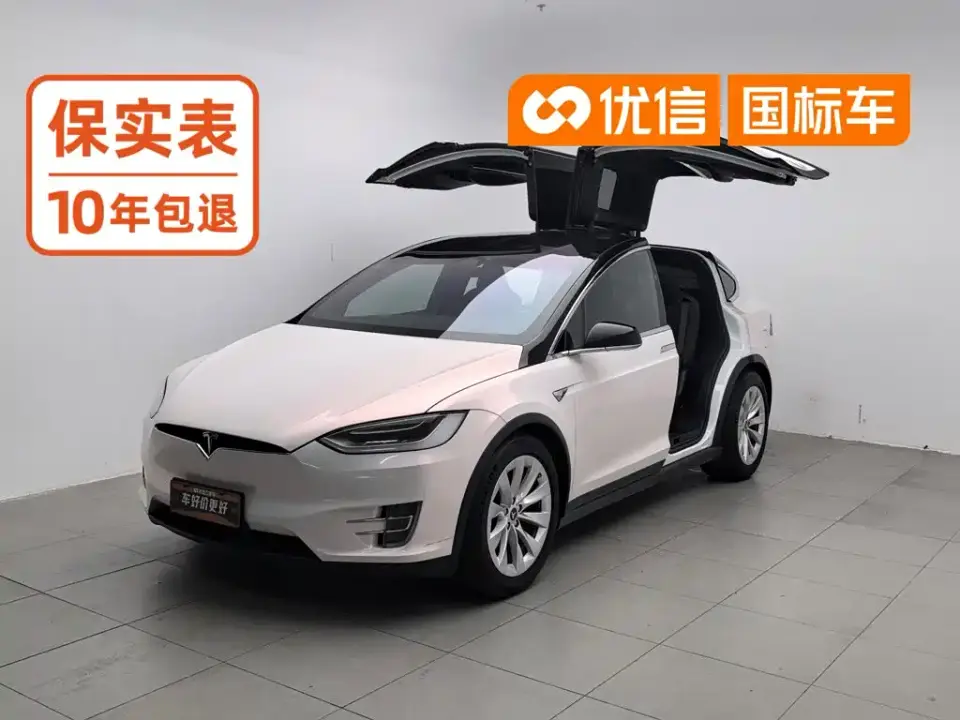 Tesla Model X Model X 75D 2019