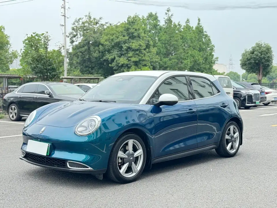 ORA Good Cat 400km Standard Range Athena Edition (LFP) 2021