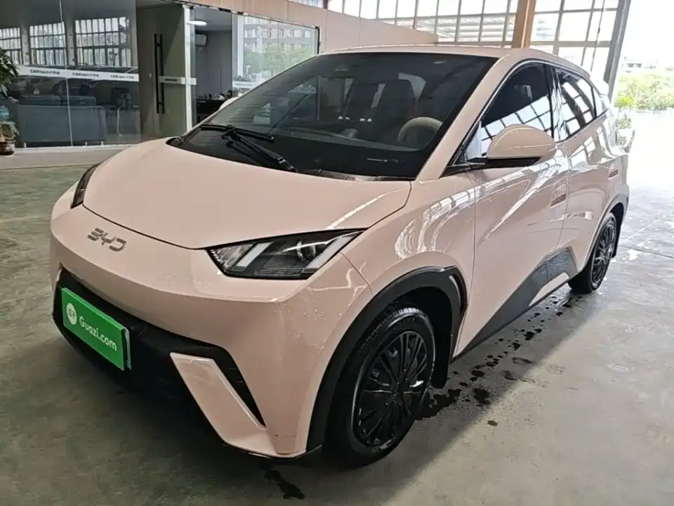 BYD Seagull Glory Edition 305km Vitality Edition 2024