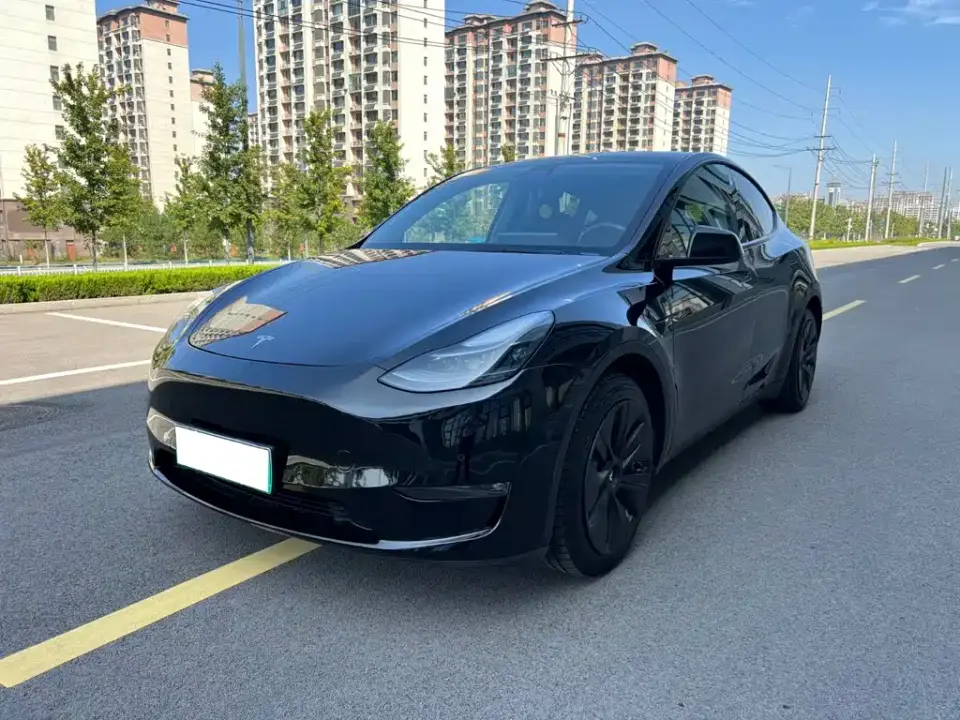 Tesla Model Y Standard Range Rear-Wheel Drive 2021