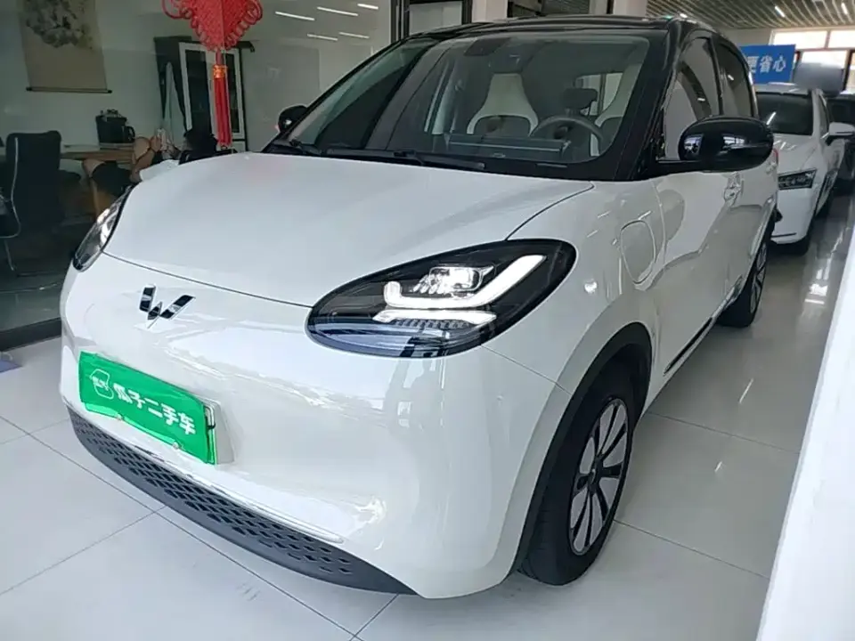 Wuling Motors Wuling Bingo Model 333km Joy Edition 2026