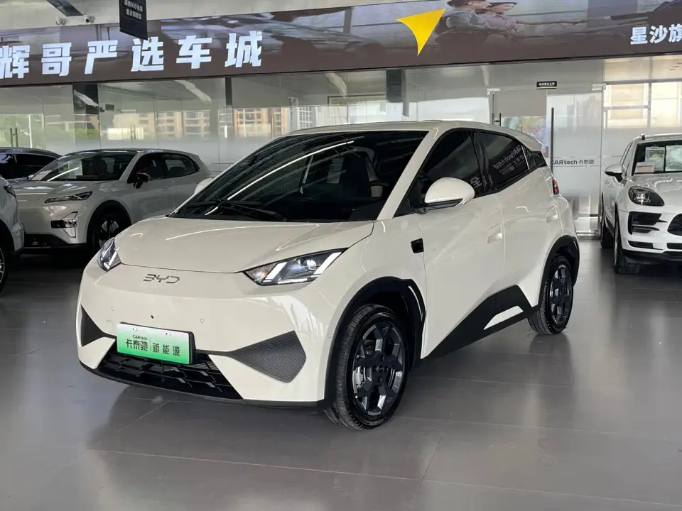 BYD Seagull Smart Drive Edition 305km Freedom Version 2025